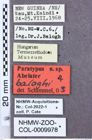 Etiketten zu Paracalais infumatus (NHMW-ZOO-COL-0009978)